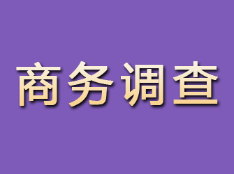 楚雄商务调查